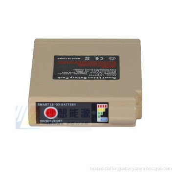 High Capacity Ce, Fcc, Rohs, 14.8v / 2600mah Heated Litium Ion Rechargeable Batteries